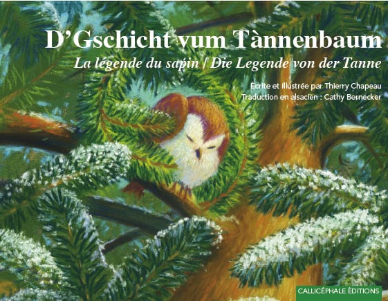 D' Gschicht vum Tànnenbaum / La légende du sapin