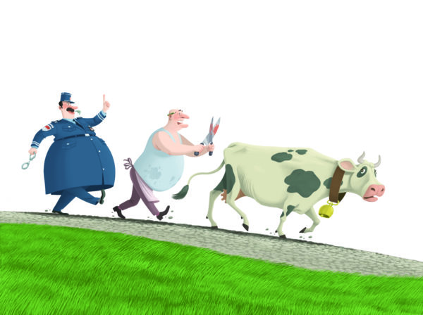 Cochon, rentre à la maison ! – Image 5