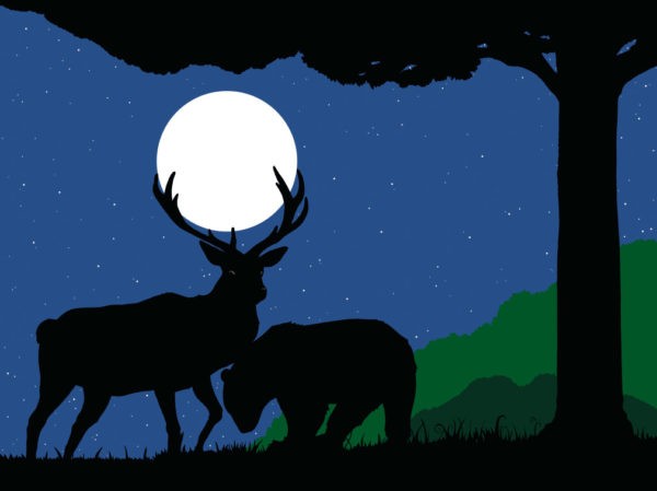 L'ours et la lune - F. Pompon – Image 5