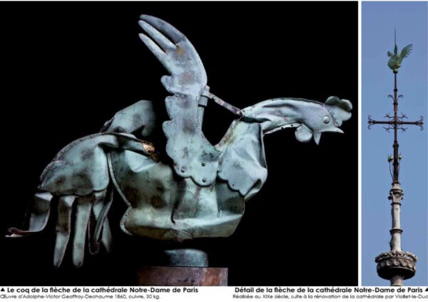 Le coq de Notre-Dame – Image 7