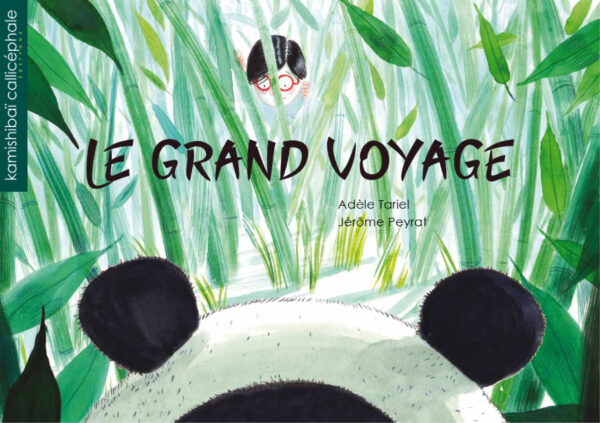LE GRAND VOYAGE