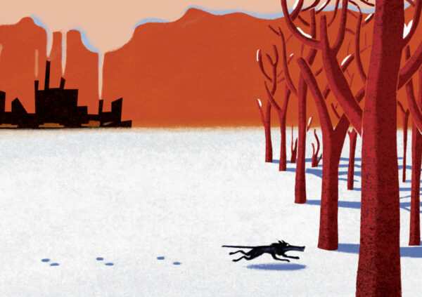 Faim de loup – Image 2