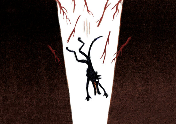 Faim de loup – Image 3